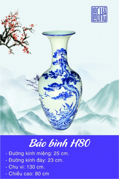 Bảo bình H80